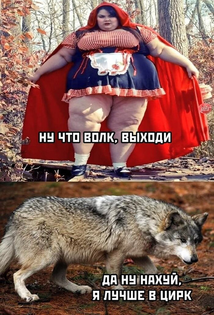 https://i.ibb.co/bgcshPtM/8rh4NR.jpg