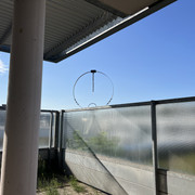 IMG-2861
