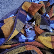 IMG-20220102-142548