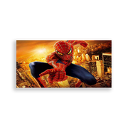 704208-Homem-Aranha-Ana