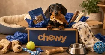 Your Dog's Dream Shopping Spree: What They'd Choose Online