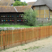 IMG 3642