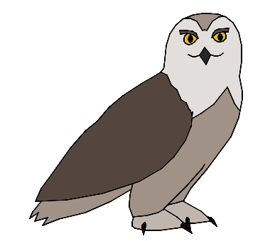 Owl.png