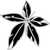 14c7b5d6bcafabe53720cc75a62c19bc