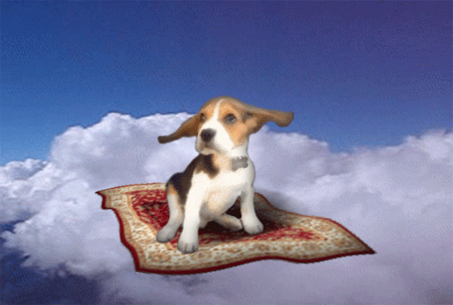 gif decorativo