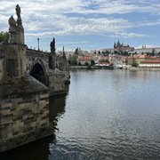 comp IMG 6839