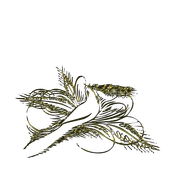 MS-gold-element-20
