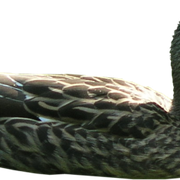 1-34