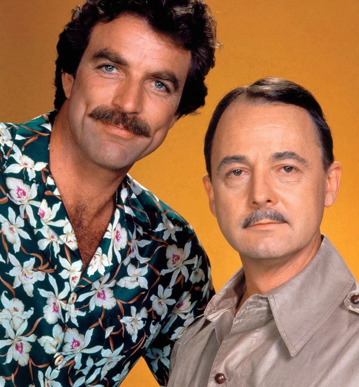 Magnum Higgins