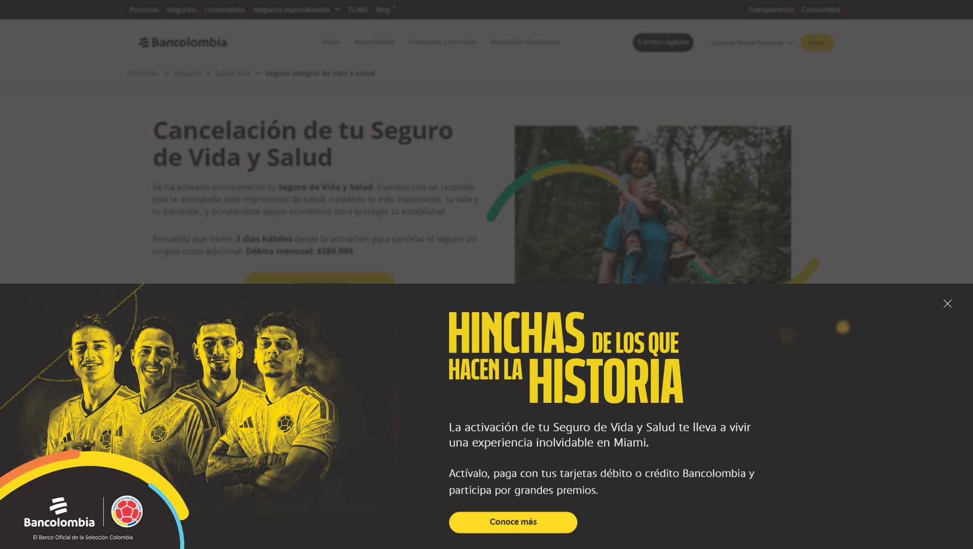Screenshot of surainforseg.com