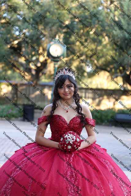 IMG 2033