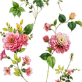 fb45f327a2d51a2cbcbcc5e17f58ff1c