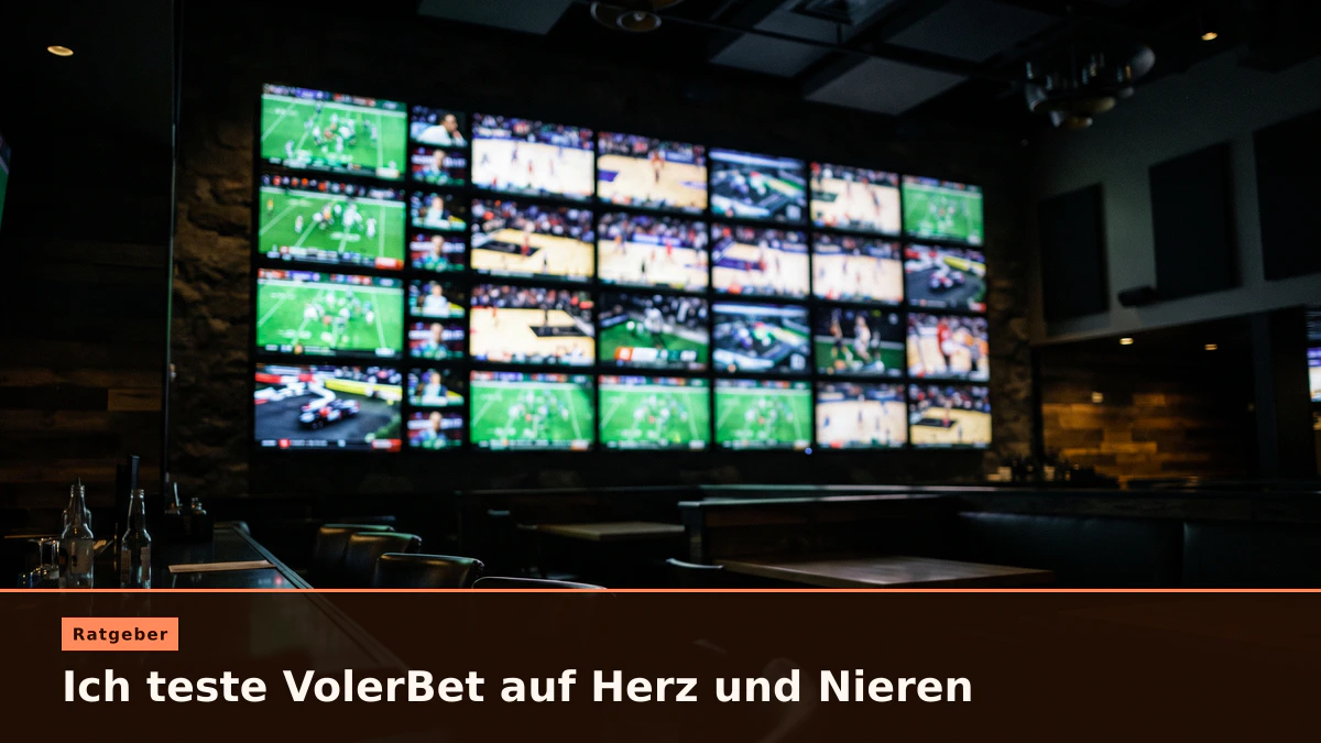 Ich teste VolerBet auf Herz und Nieren