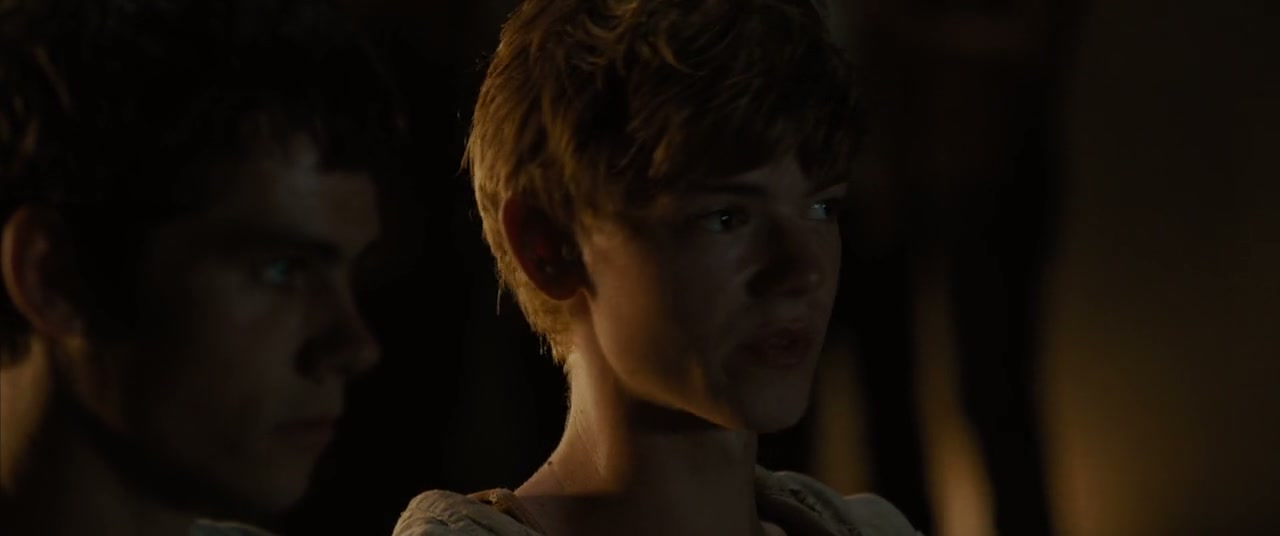 The Maze Runner Screenshot