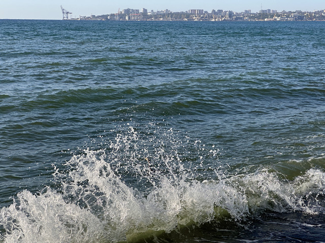IMG 9954
