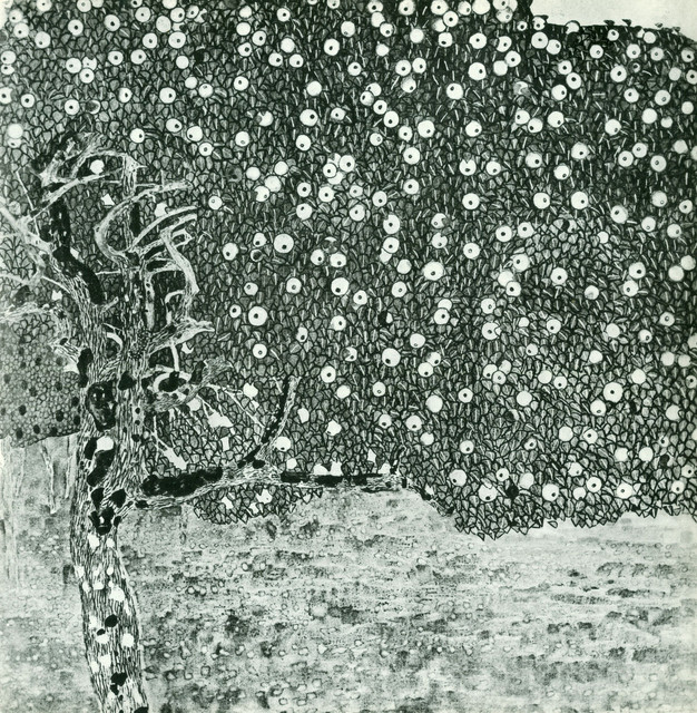 kli00129