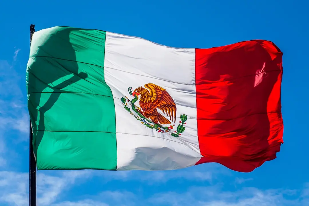 Mexico to Seek Criminal Charges from US Over Citizen Deaths in ICE Custody