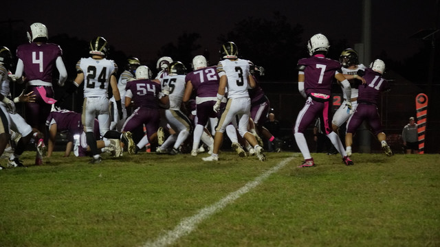 DSC09262.jpg