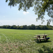 IMG-9127