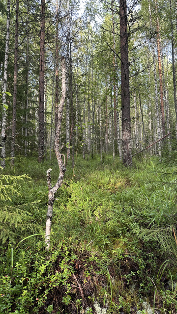 IMG 4805.jpg