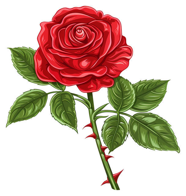 2e1bb201191825ee1b9f5a342d56ca9e.png