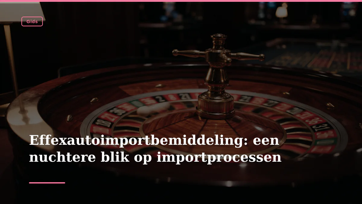 Effexautoimportbemiddeling: een nuchtere blik op importprocessen