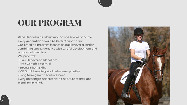 Horse-Rider-Club-4.png?utm_source=chatgpt.com