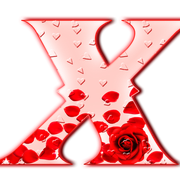 24