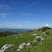 DSC04877