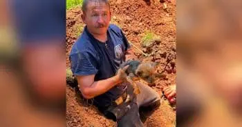 12-Year-Old Yorkie Rescued from Groundhog Tunnel