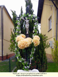 powiększ zdjęcie