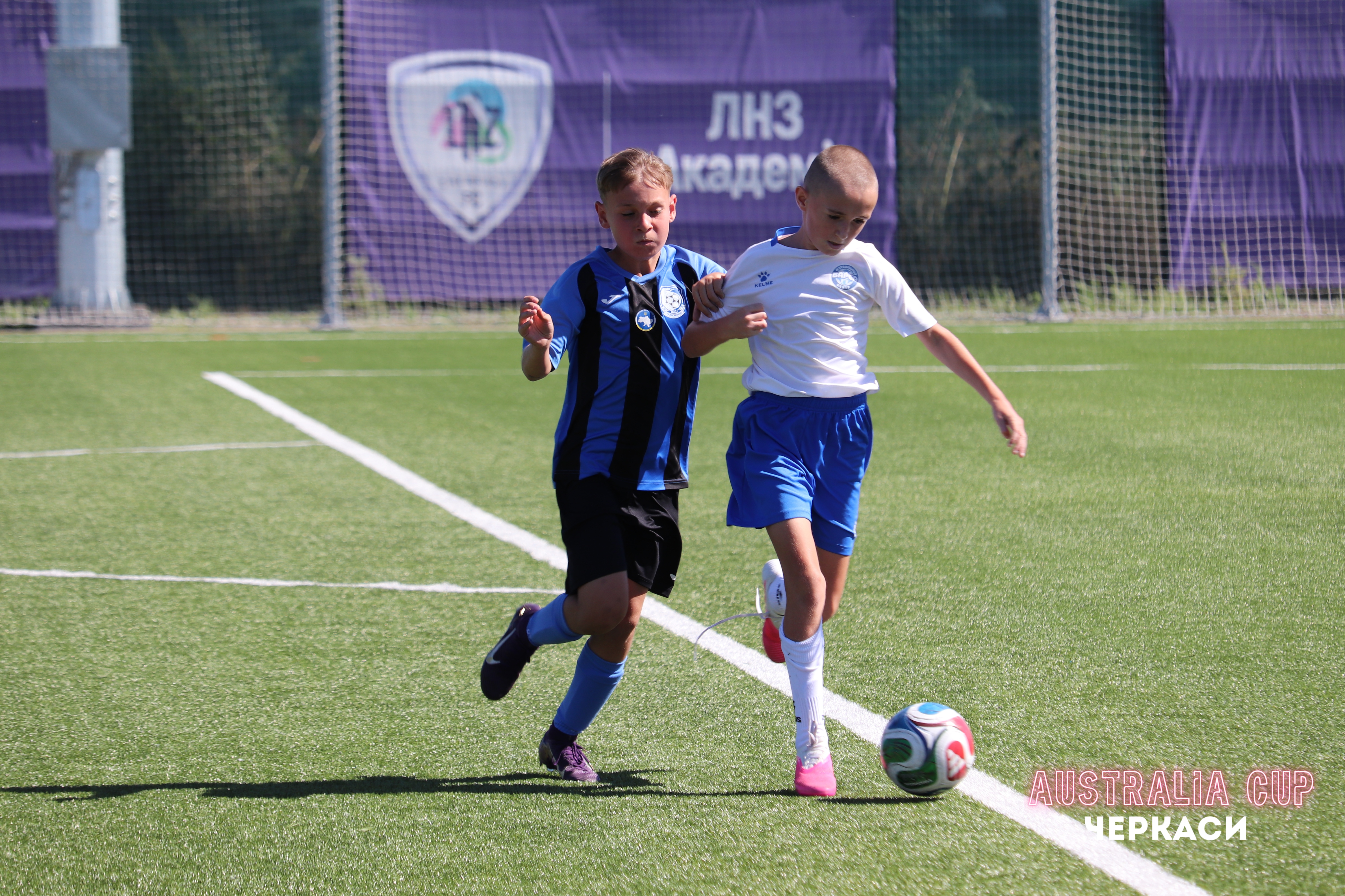 IMG 4598 (1)