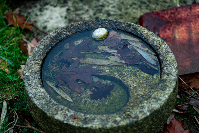 L1010876