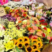 Kea Market8