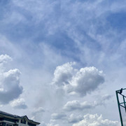 IMG 0491