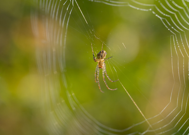 DSC08790 копия.jpg