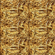 HOE DOWN (9).png