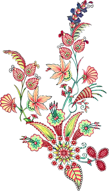 nohat-bg-removed-265f8f7c