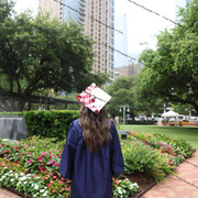 IMG 4546
