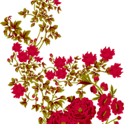 9121543558e0f5dbc4affc936763c1ca
