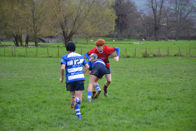 DSC-0404.jpg