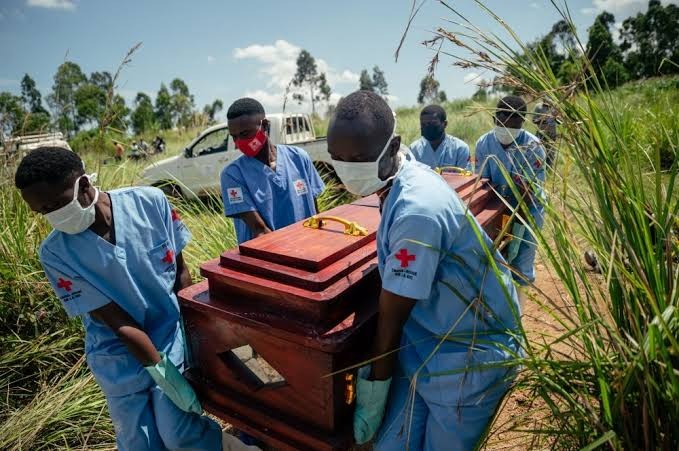 Illustration - Ebola en RDC : le bilan dépasse les 1 350 morts