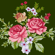 c7f7e3bc1d50cba97269e508a69bfbe2