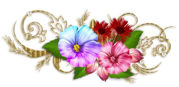 ff780e290545c3d098729c265337aa71.png
