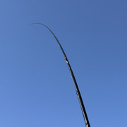 IMG-0272