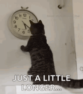 IMG-5223.gif