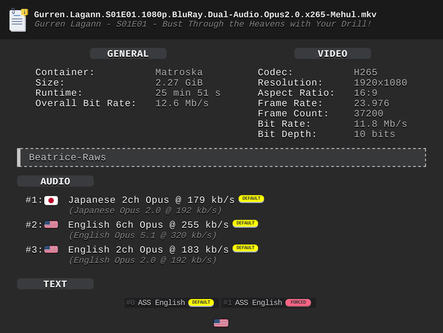 Gurren MediaInfo