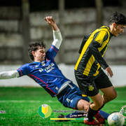 gamsply