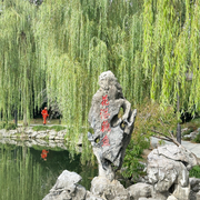 花港观鱼15