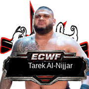 Tarek Al Nijjar